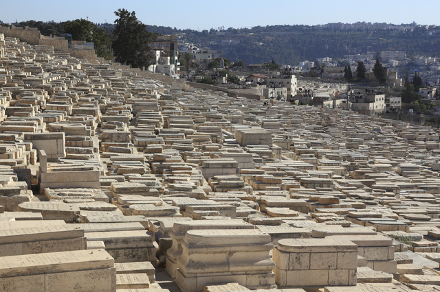 pixta_6632024_S[1](オリーブ山)