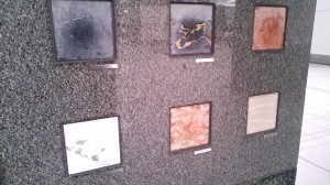 石の博物館12（全体）